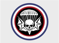 502nd Parachute Infantry Regiment