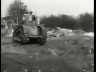 CrazyWearyAfricancivet size restricted